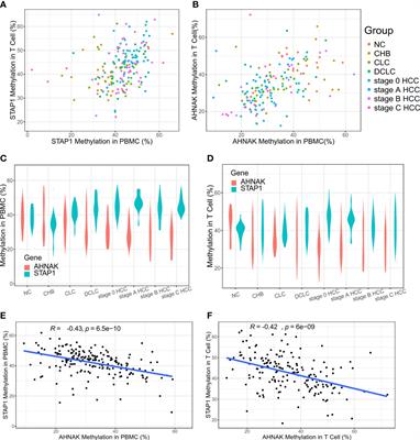 Diagnostic and prognostic value of STAP1 and AHNAK methylation in peripheral blood immune cells for HBV-related hepatopathy